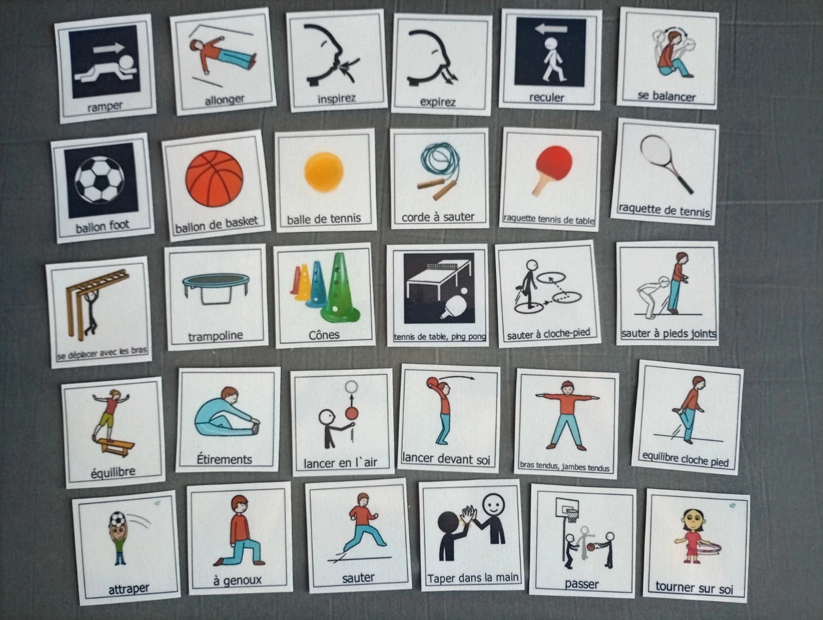 pictogramme handisport